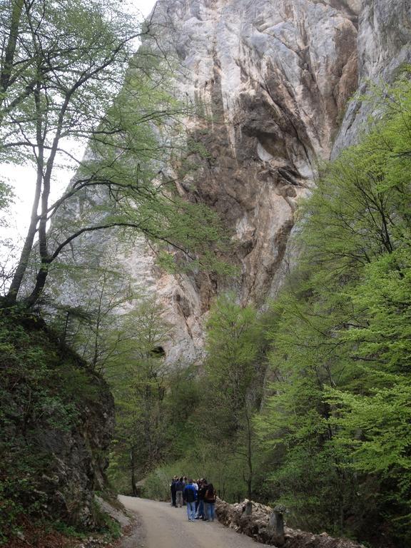 Rosenville Rîşnov Exteriér fotografie